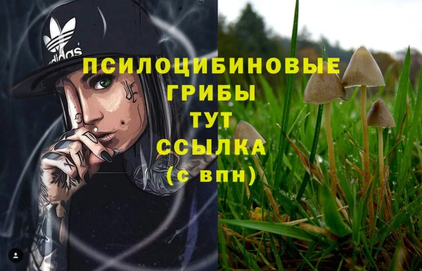 эйфоретик Алзамай
