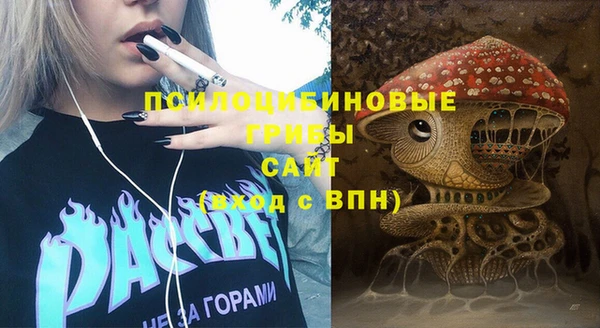 прущий лед Алексеевка