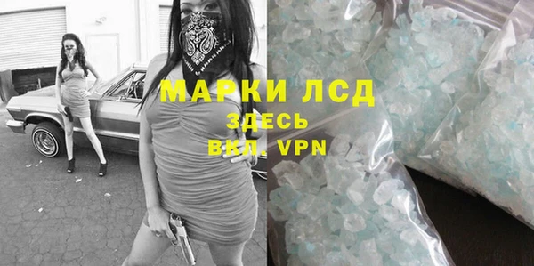 стафф Алексин