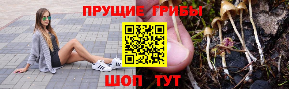 Галлюциногенные грибы GOLDEN TEACHER  Вход с VPN  Канаш 